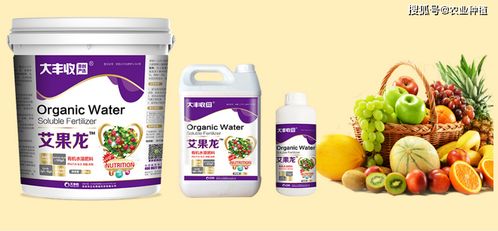 怎么促進果子膨大轉色,搞清關鍵原理才好對應下肥 大豐收艾果龍