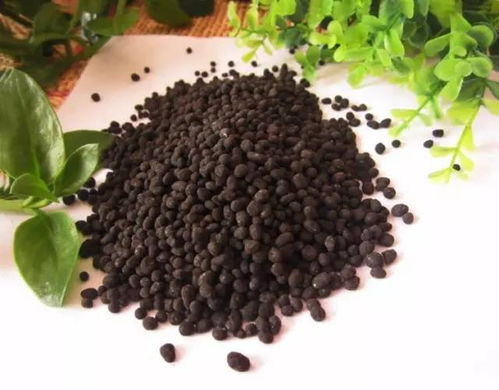 這些施肥雷區(qū)一定要注意 避開這15個誤區(qū)